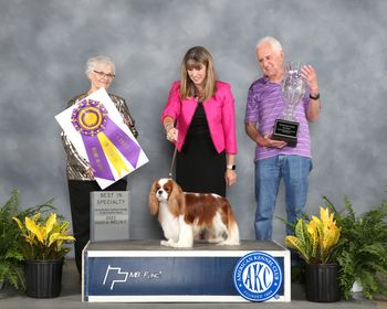 New Grand Champion and Best In Specialty Show Winner!
