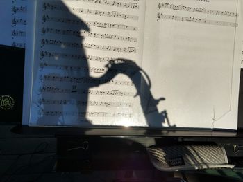 Music In the Shadows

