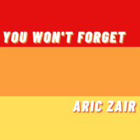 You Won't Forget by Aric Zair