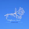 Wildflower Heart: CD