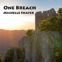 One Breach by Michelle Shafer
