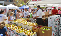 The Haywood County Apple Harvest Festival