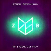If I Could Fly (Cover) by Zack Brannon