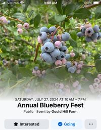 The Luggnuts @Gould Hill Blueberry Festival