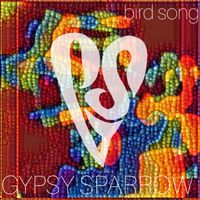 bird songs by Gypsy Sparrow Music