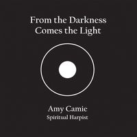 From the Darkness Comes the Light by Amy Camie