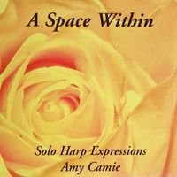 A Space Within by Amy Camie