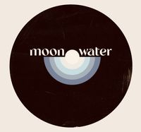 Moon Water w/Sal Landers (Lead Guitar)