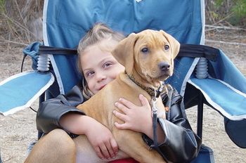 For their relationship to thrive, children and Ridgebacks must be taught mutual respect.
