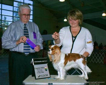 Winners Bitch at the Coyote Hills Kennel Club under Judge William Dolan, handled by Amy Rutherford
