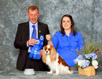 A class win at the COTW show in Burlingame 2010 under breeder-judge Steven Goodwin (Lanola)
