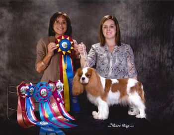 Elphie winning Best in Show for her first club major, at the COTW Vancouver Specialty under breeder-judge Wesely Schiffman (Crossbow)
