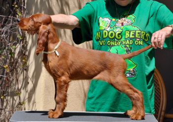 Yellow/Green Boy
