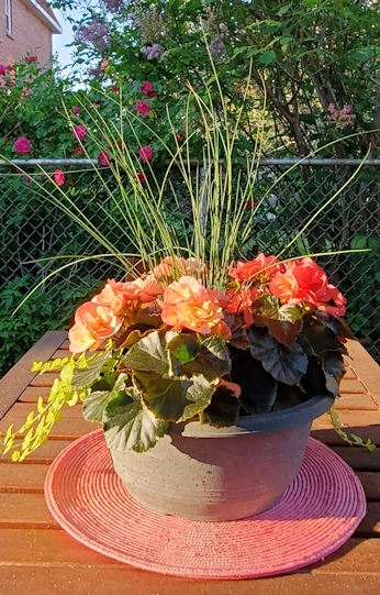 Flowerpot on wood patio table