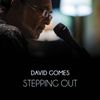 David Gomes - Stepping Out Digital Lossless Album