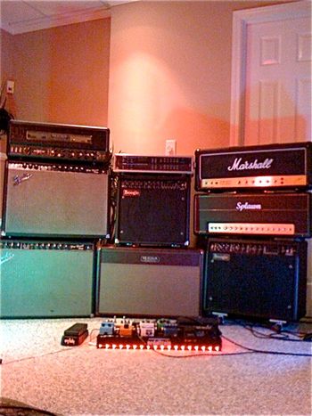 Amp Collection - (Mesa Boogie's, Vintage Fender Pro Reverbs, Marshall JCM 800, Splawn)
