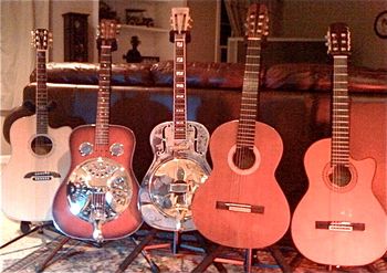 The acoustic guitar collection
