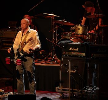 David Wilcox
