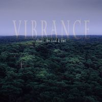 Vibrance by shuni, the void & dmt