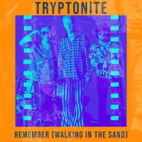 Remember "Walking In The Sand) by Tryptonite