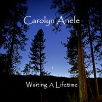 Waiting A Lifetime by Carolyn Anele