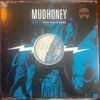 Mudhoney Live on Vinyl