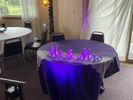 wedding uplighting $200 minimum (see videos below for reference)