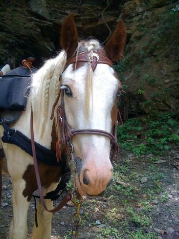 Rogan out on the trail
