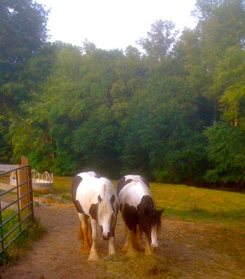 Bridget and CiCi sharing a snack
