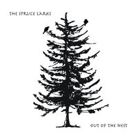Spruce Larks Release Concert, “Out of the Nest”