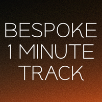 Bespoke 1 Minute Song or Composition
