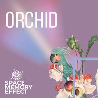 Orchid by Space Memory Effet