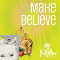 Make Believe by Space Memory Effect
