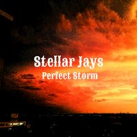 Perfect Storm by Stellar Jays