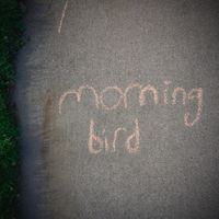 Morning Bird by Woodward