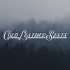 Cold Leather Seats- CD