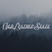 Cold Leather Seats- CD
