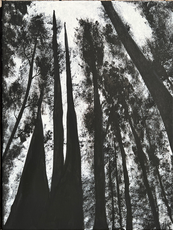 37 - The Redwoods
