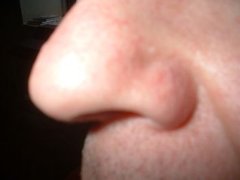 guess whose nose and win a free steele bros cd!
