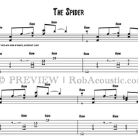 The Spider