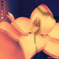 Revive by Dead Cassette