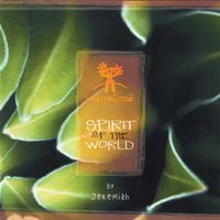 Wanaume - Spirit of the world (2021 Remastered) - 24 bits Wav files by Arnaud CHELET - AKA Jeremiah C