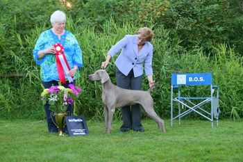 BOS for her Grand Championship, handler Pam Sage.
