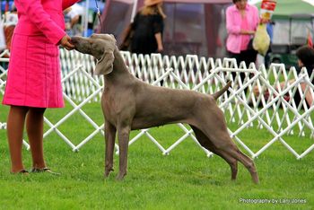 Winning her AOM at the WWWCS show!
