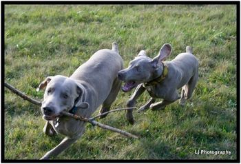 Playing STICK with her Daddy, Logan.
