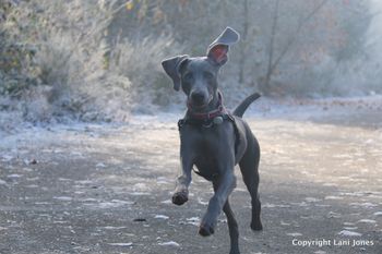 Zooming in the cool weather!
