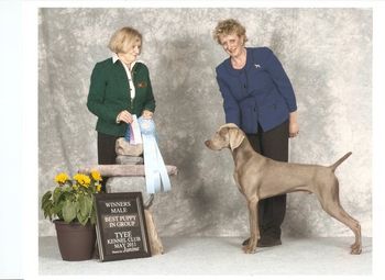 Nytro, back-to-back Puppy Group winner!!
