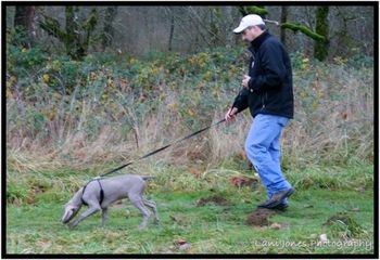 Leo (Black boy) starting his Tracking Dog training at 17 weeks. Doing a great job!
