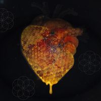 Sticker - Honeycomb Heart