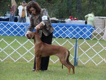 RRCUS Supported Show, Ocala, November 2010 Best Bred By Exhibitor
